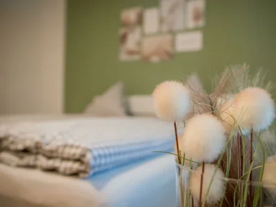 Apartment 2 Bettwohnung Justin - Features photo 15