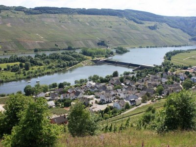 Apartment 2-Bettwohnung "Moseltraum III" - Outdoor photo 6