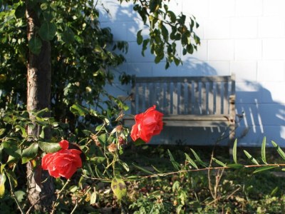 Apartment 2-Bettwohnung "Moseltraum III" - Outdoor photo 9