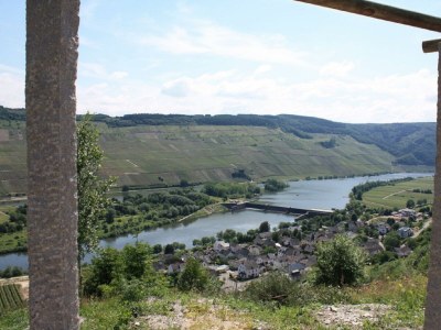 Apartment 2-Bettwohnung "Moseltraum III" - Outdoor photo 10