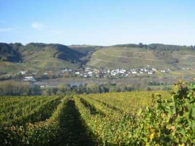 Apartment 2-Bettwohnung "Moseltraum III" - Outdoor photo 11