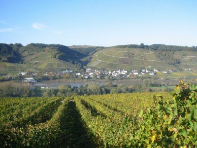 Apartment 2-Bettwohnung "Moseltraum IV" - Outdoor photo 8