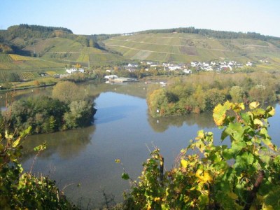 Apartment 2-Bettwohnung "Moseltraum IV" - Outdoor photo 9