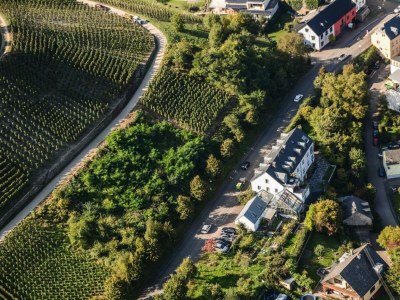 Apartment 2-Bettwohnung "Moseltraum IV" - Outdoor photo 10