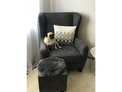 Apartment 2-Bettwohnung - Outdoor photo 6