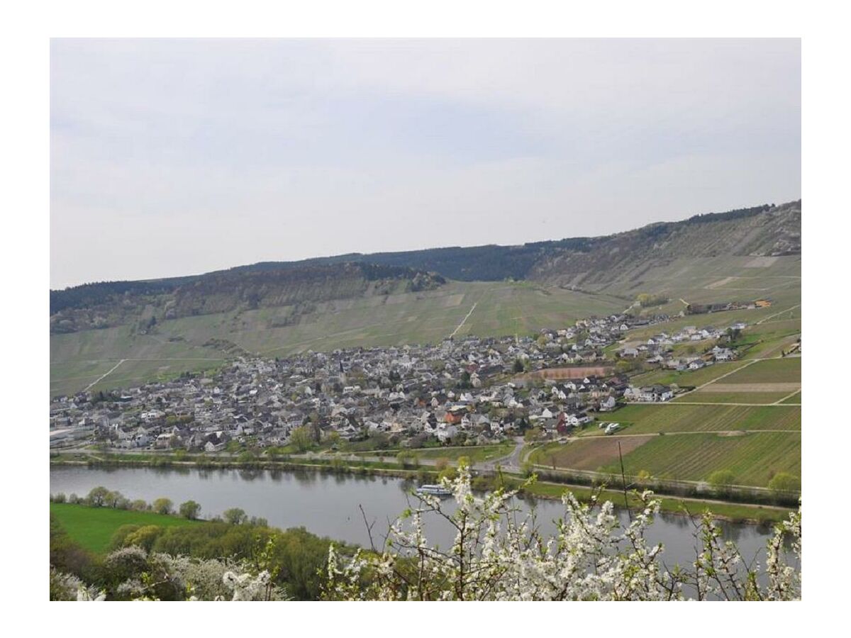 Apartment 4-Bettwohnung "Uwe"   (70 m²)