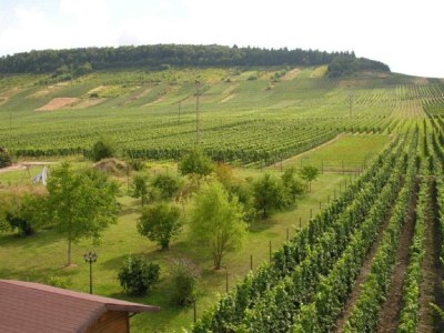 Apartment 4-Bettwohnung "Uwe"   (70 m²) - Outdoor photo 7