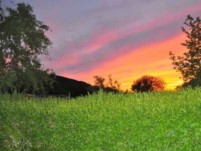 Apartment 4-Bettwohnung "Uwe"   (70 m²) - Outdoor photo 8