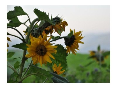 Apartment 2-Bettwohnung "Guido" (65 m²) - Outdoor photo 12