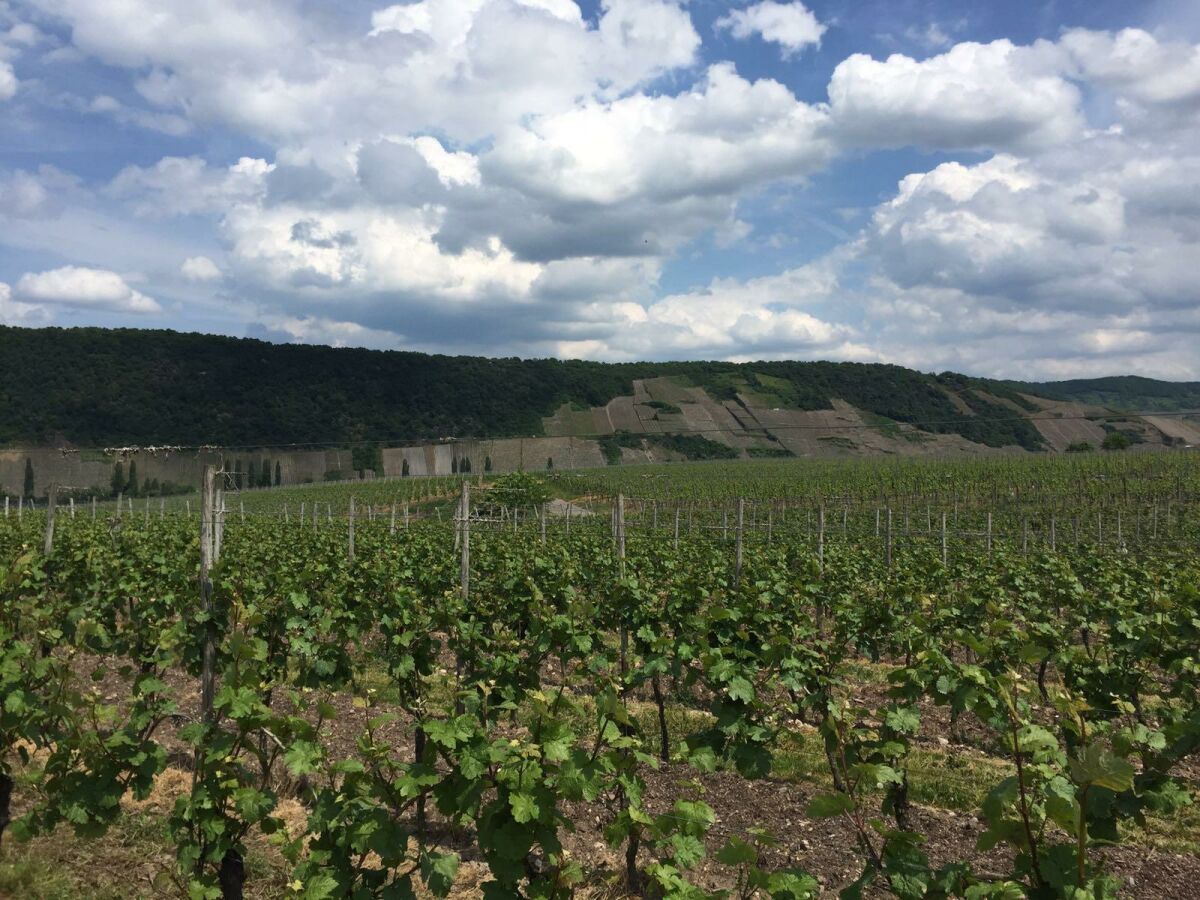 Apartment 4-Bettwohnung Klostergarten