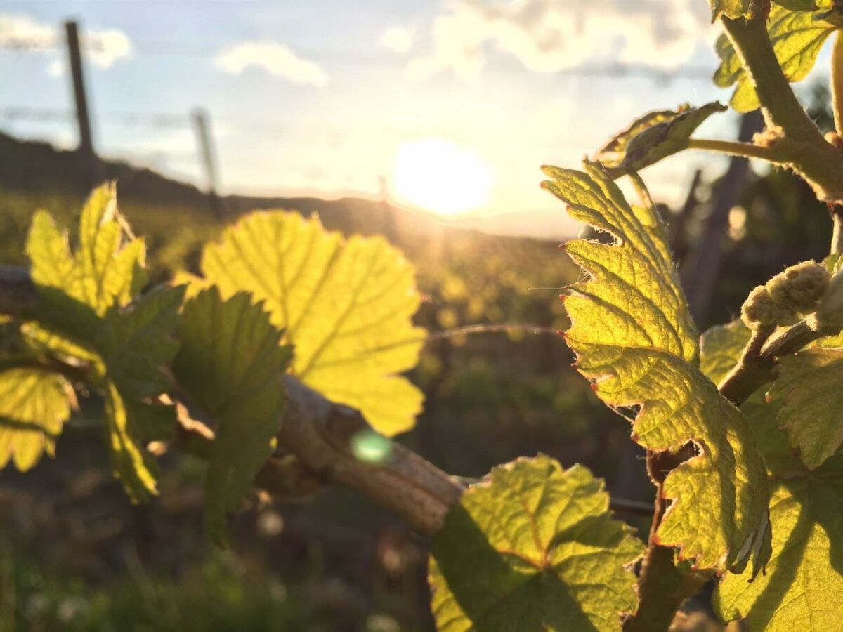 Apartment 4-Bettwohnung Klostergarten - Outdoor photo 3
