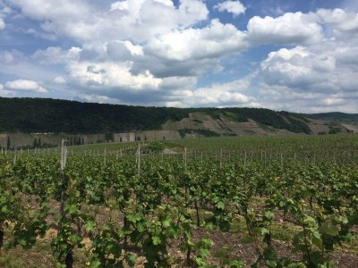 Apartment 2-Bettwohnung Livia **** in Leiwen - Apartment