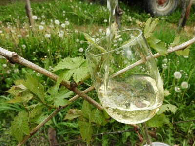 Apartment 2-Bettwohnung Livia **** - Outdoor photo 9