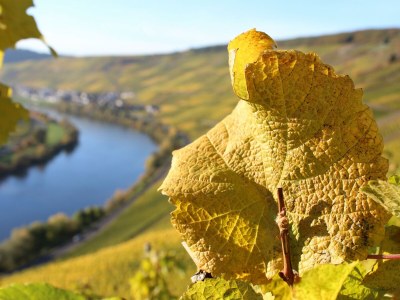 Apartment 2-Bettwohnung "Urlaubsglück" - Outdoor photo 20