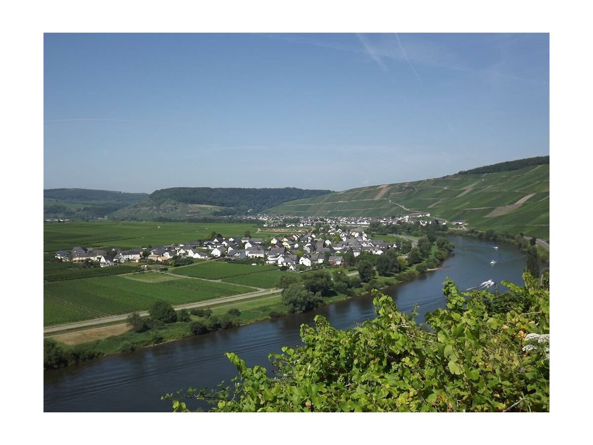 Apartment 2-Bettwohnung Riesling **** (Winzerhof)