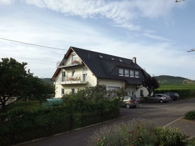 Apartment 2-Bettwohnung Riesling **** (Winzerhof) - Outdoor photo 12