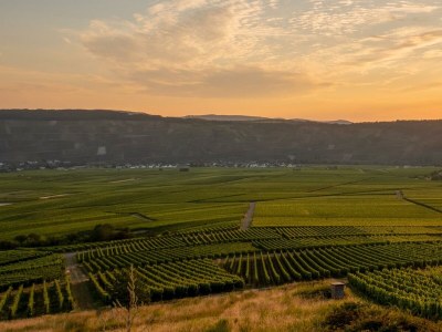 Apartment 2-Bettwohnung Riesling **** (Winzerhof) - Outdoor photo 19