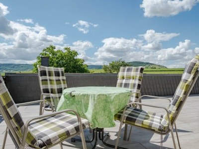 Apartment 2-Bettwohnung Riesling **** (Winzerhof) - Features photo 26