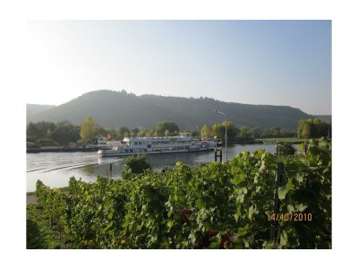 Apartment 2-Bettwohnung Dornfelder **** (Winzerhof) - Outdoor photo 4