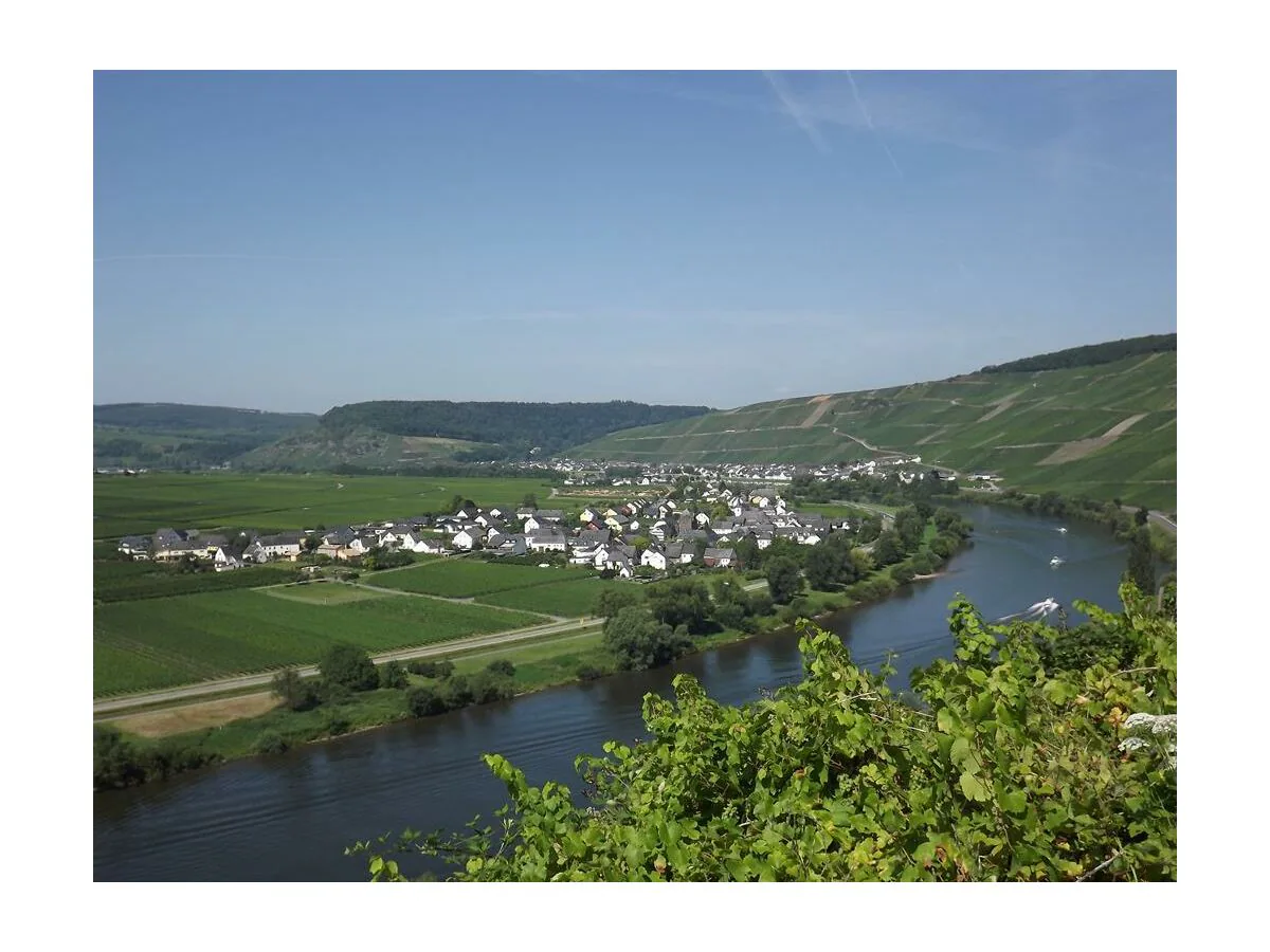 Apartment 2-Bettwohnung Spätburgunder *** (Winzerhof)