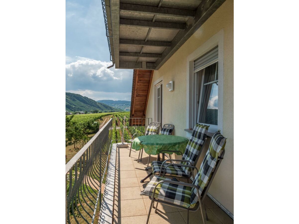 Apartment 2-Bettwohnung Spätburgunder *** (Winzerhof) - Outdoor photo 2