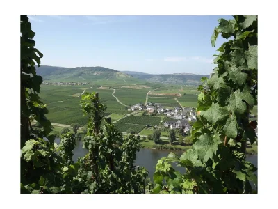 Apartment 2-Bettwohnung Spätburgunder *** (Winzerhof) - Outdoor photo 18