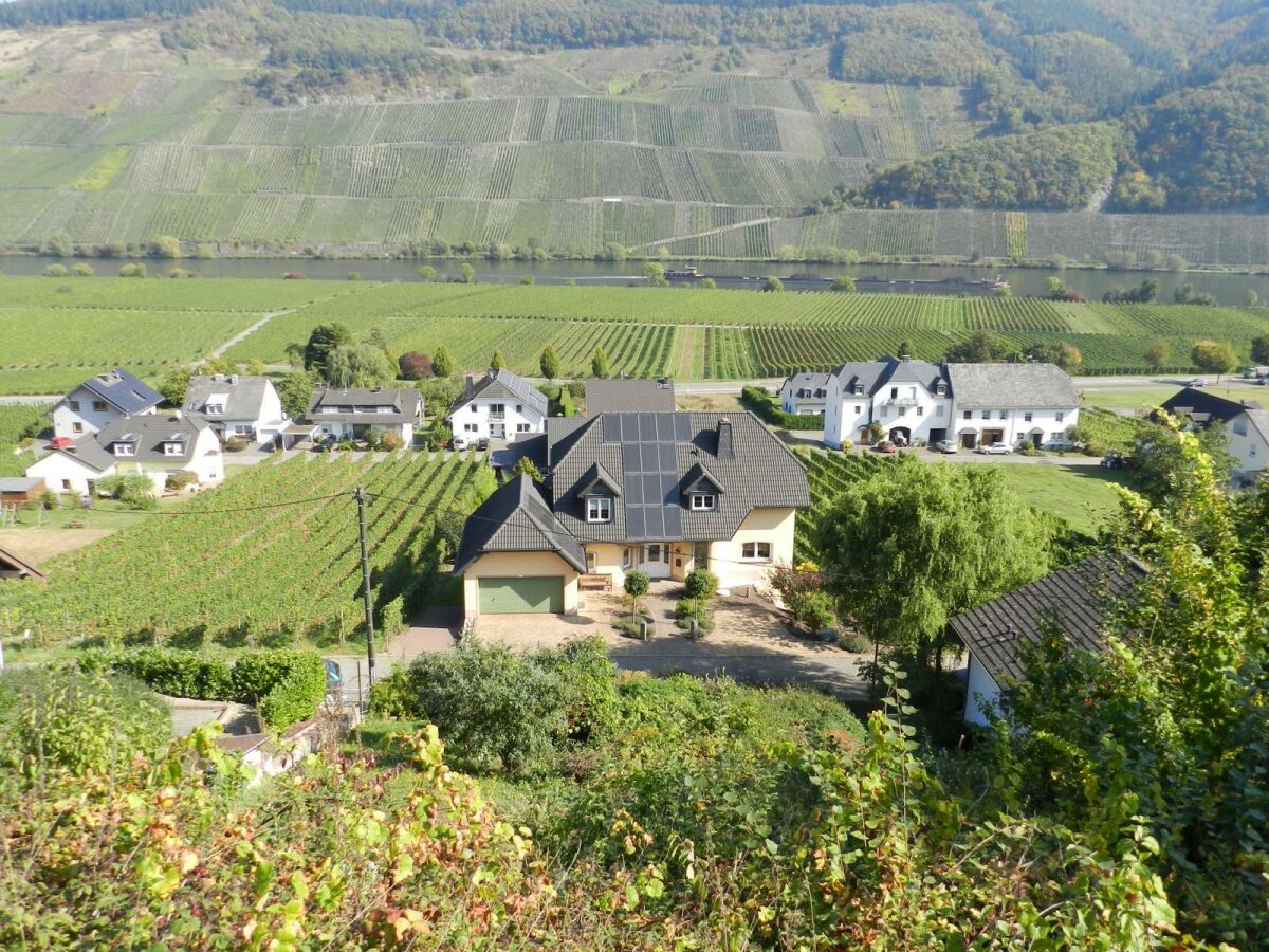 Apartment 2-Bettwohnung - Outdoor photo 5