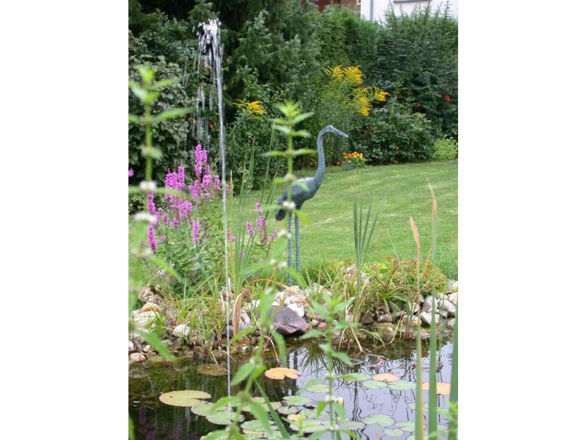 Apartment Fewo 1  und Fewo 2  (Parterre) - Outdoor photo 4