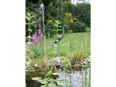 Apartment Fewo 1  und Fewo 2  (Parterre) - Outdoor photo 4