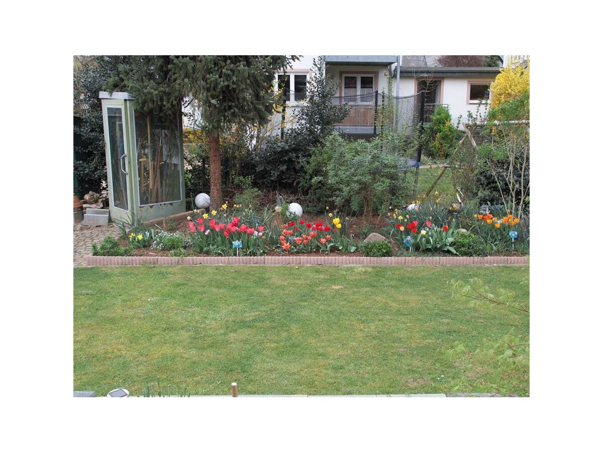 Apartment 2-Bettwohnung - Outdoor photo 3