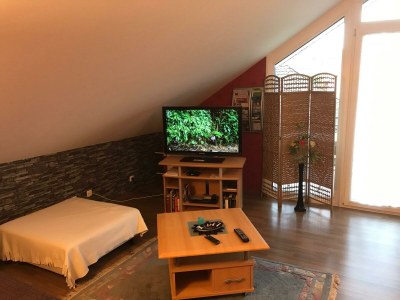 Apartment 2-Bettwohnung - Features photo 16