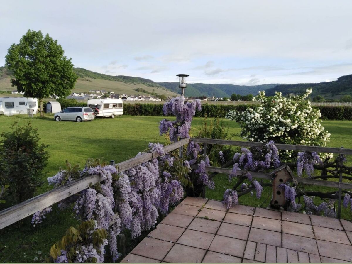 Apartment Appartment "Riesling" - Outdoor photo 2