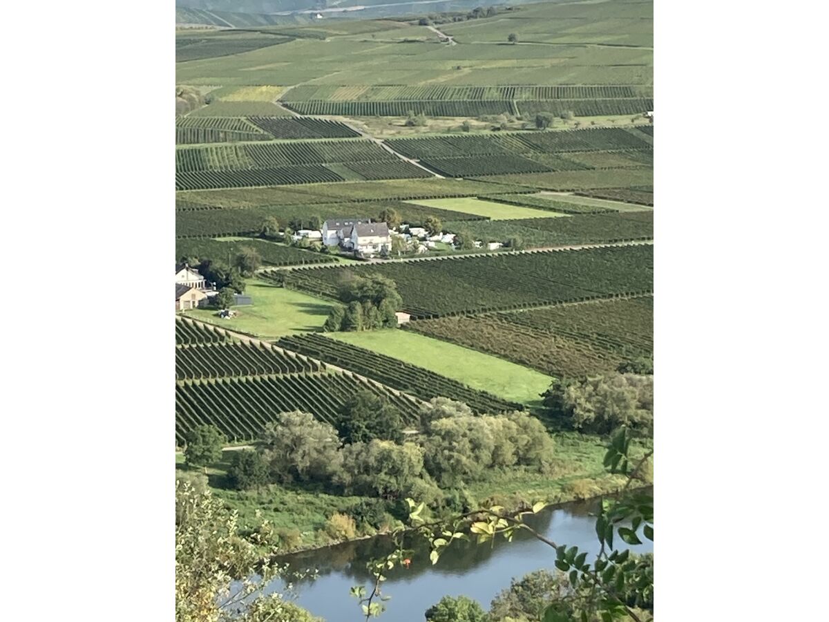 Apartment Appartment "Riesling" - Outdoor photo 5