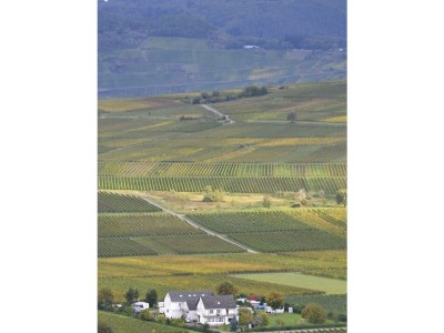 Apartment Appartment "Riesling" in Thörnich - Apartment