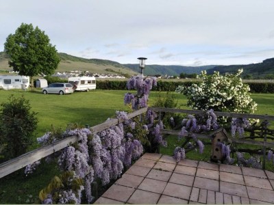 Apartment Appartment "Riesling" - Outdoor photo 2