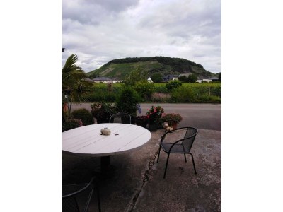 Apartment Appartment "Riesling" - Outdoor photo 7