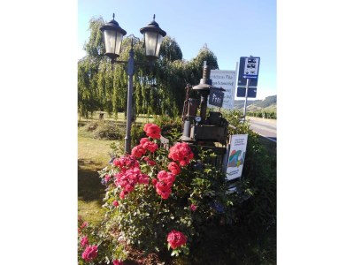 Apartment Appartment "Riesling" - Outdoor photo 9