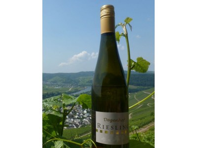 Apartment 4-Bettwohnung Mosel - Outdoor photo 4