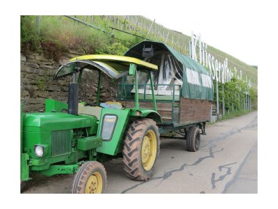 Apartment 4-Bettwohnung Mosel - Outdoor photo 7