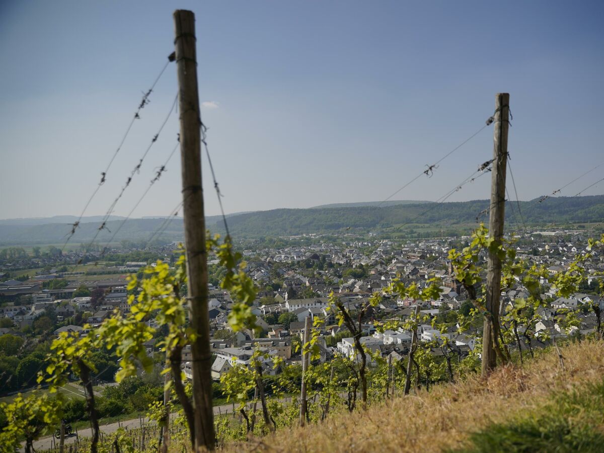 Apartment Ferienwohnung "Fiordaliso" - Outdoor photo 3