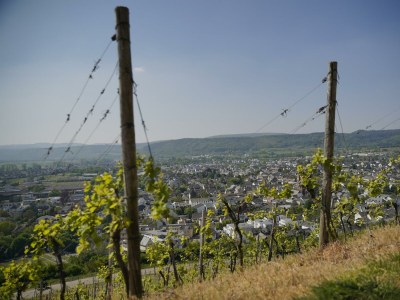 Apartment Ferienwohnung "Fiordaliso" - Outdoor photo 3