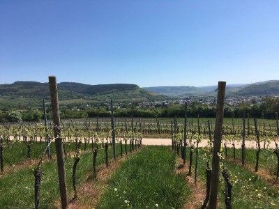 Apartment Ferienwohnung "Fiordaliso" - Outdoor photo 7