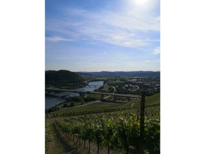 Apartment Ferienwohnung "Fiordaliso" - Outdoor photo 8