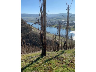 Apartment Ferienwohnung "Fiordaliso" - Outdoor photo 11