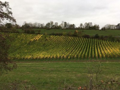 Apartment Ferienwohnung "Fiordaliso" - Outdoor photo 13