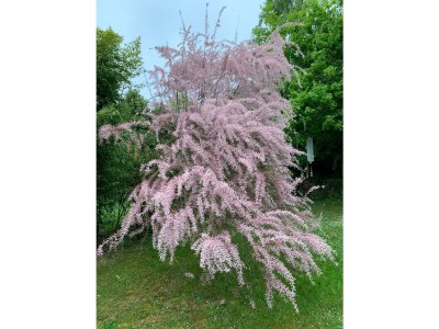 Apartment Ferienwohnung "Fiordaliso" - Outdoor photo 19