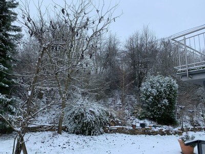 Apartment Ferienwohnung "Fiordaliso" - Outdoor photo 21