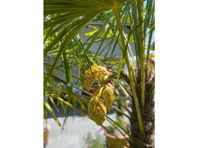 Apartment Ferienwohnung "Fiordaliso" - Outdoor photo 27