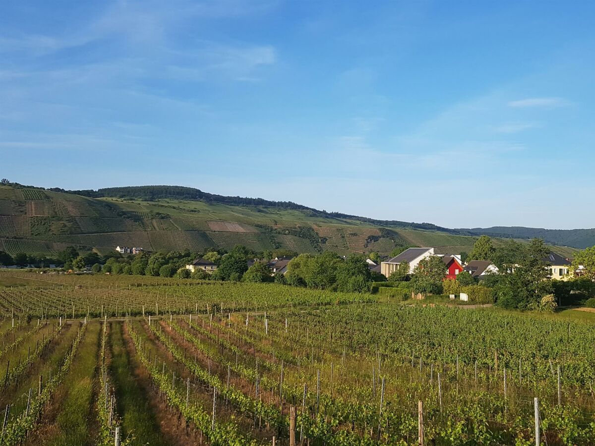 Apartment 2-Bettwohnung ****