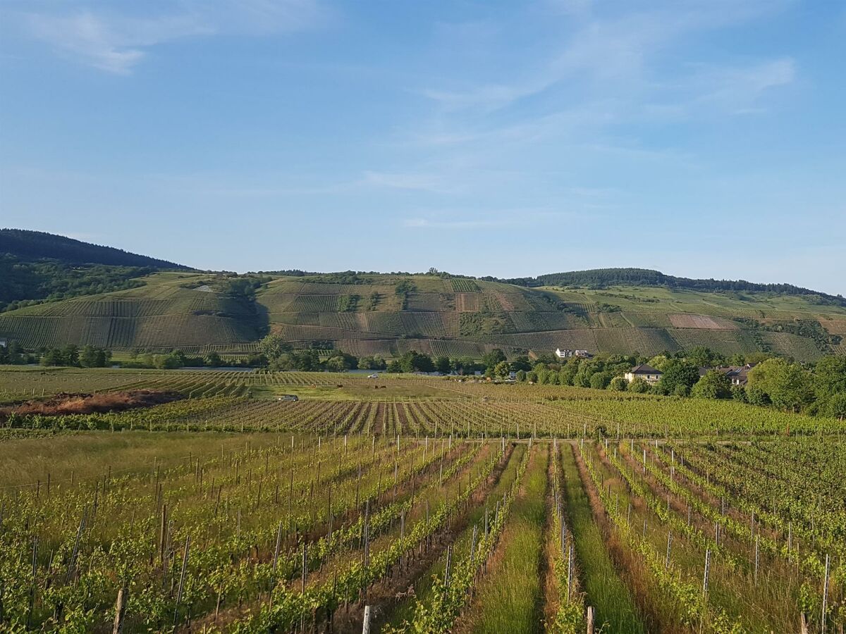 Apartment 2-Bettwohnung **** - Outdoor photo 2